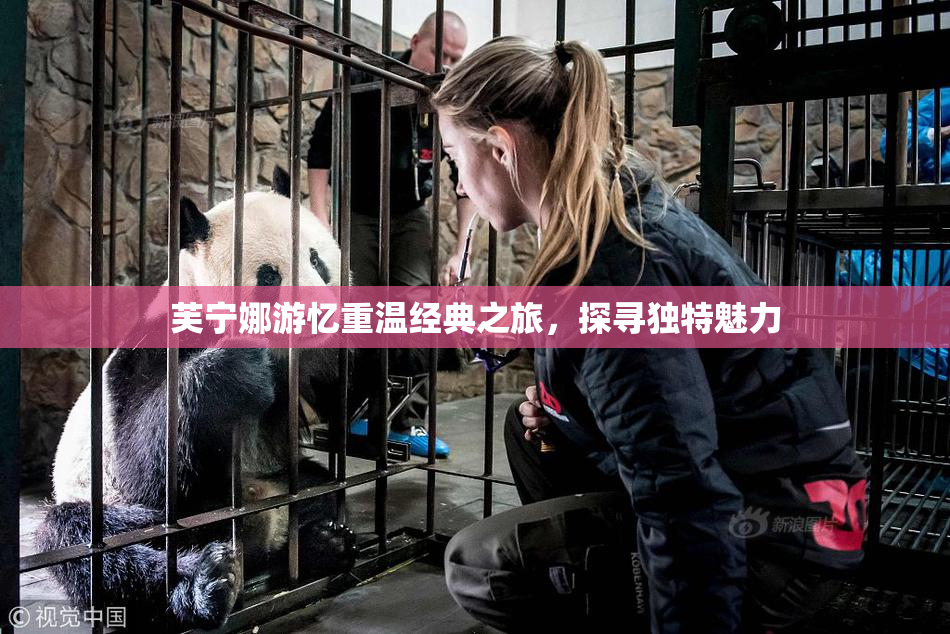 芙宁娜游忆重温经典之旅，探寻独特魅力