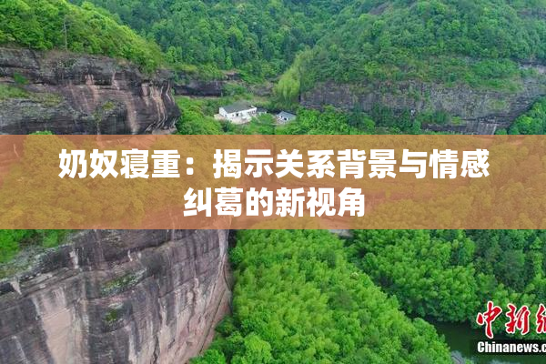 奶奴寝重：揭示关系背景与情感纠葛的新视角