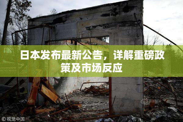 日本发布最新公告，详解重磅政策及市场反应