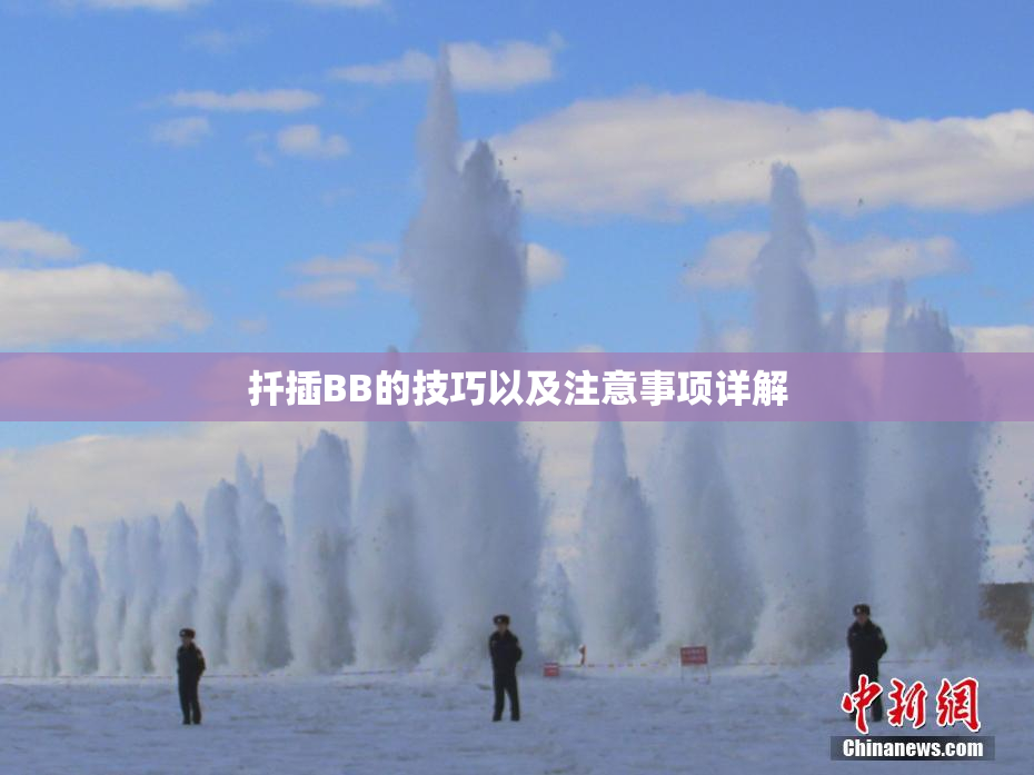 扦插BB的技巧以及注意事项详解