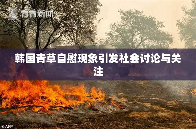 韩国青草自慰现象引发社会讨论与关注