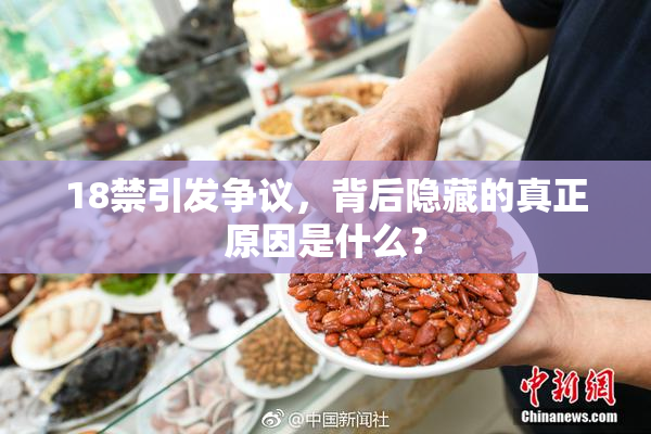 18禁引发争议，背后隐藏的真正原因是什么？