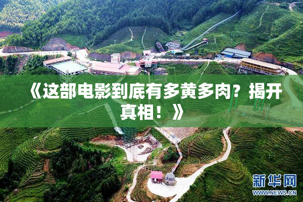 《这部电影到底有多黄多肉？揭开真相！》