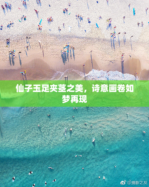 仙子玉足夹茎之美，诗意画卷如梦再现