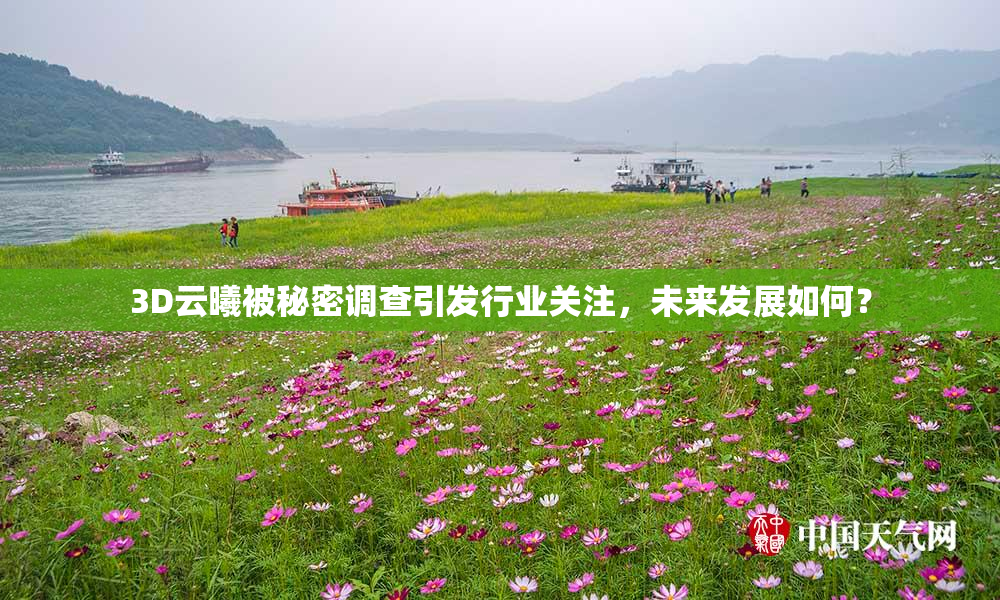 3D云曦被秘密调查引发行业关注，未来发展如何？
