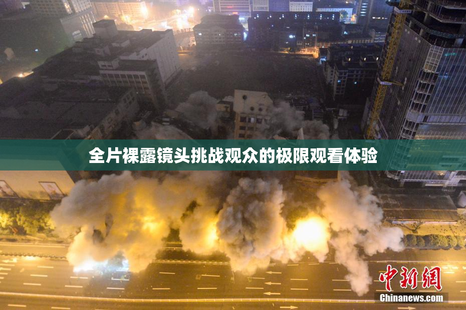 全片裸露镜头挑战观众的极限观看体验