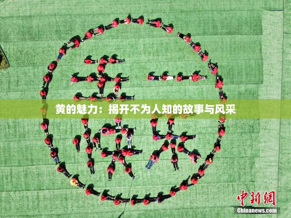 黄的魅力：揭开不为人知的故事与风采