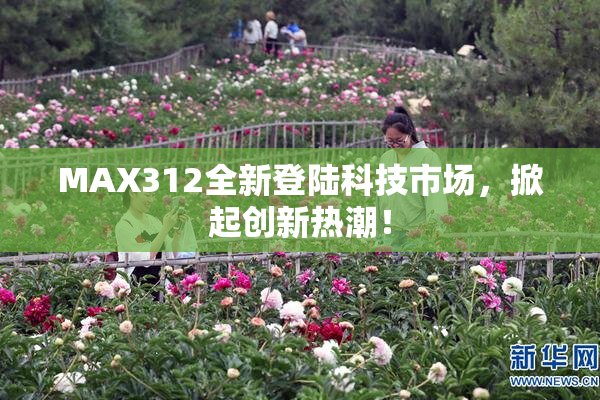 MAX312全新登陆科技市场，掀起创新热潮！