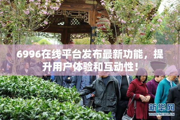 6996在线平台发布最新功能，提升用户体验和互动性！