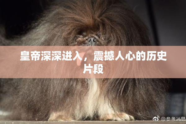 皇帝深深进入，震撼人心的历史片段
