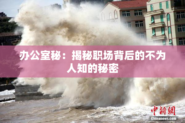 办公室秘：揭秘职场背后的不为人知的秘密