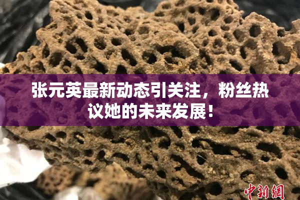 张元英最新动态引关注，粉丝热议她的未来发展！