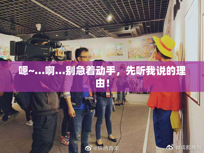 嗯~…啊…别急着动手，先听我说的理由！