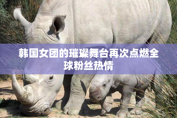 韩国女团的璀璨舞台再次点燃全球粉丝热情