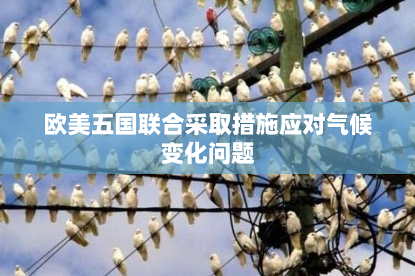 欧美五国联合采取措施应对气候变化问题