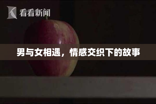 男与女相遇，情感交织下的故事