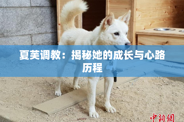 夏芙调教：揭秘她的成长与心路历程