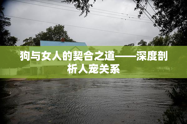 狗与女人的契合之道——深度剖析人宠关系
