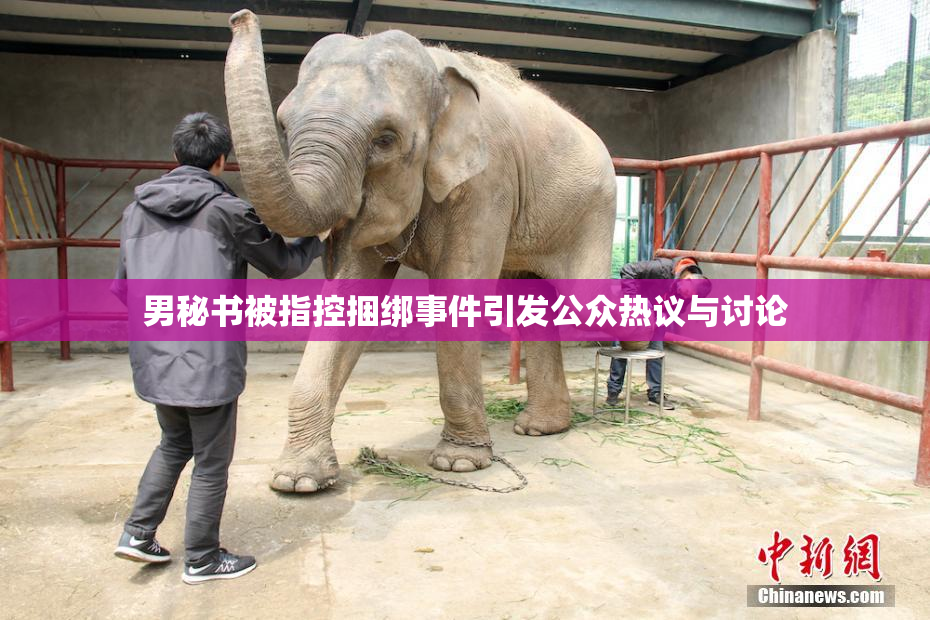男秘书被指控捆绑事件引发公众热议与讨论