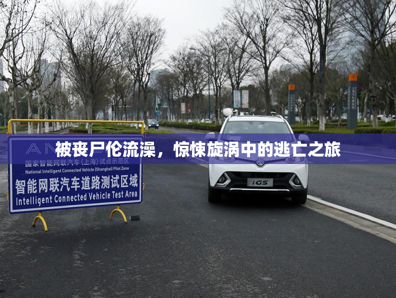 被丧尸伦流澡，惊悚旋涡中的逃亡之旅