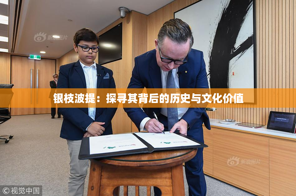 银枝波提：探寻其背后的历史与文化价值