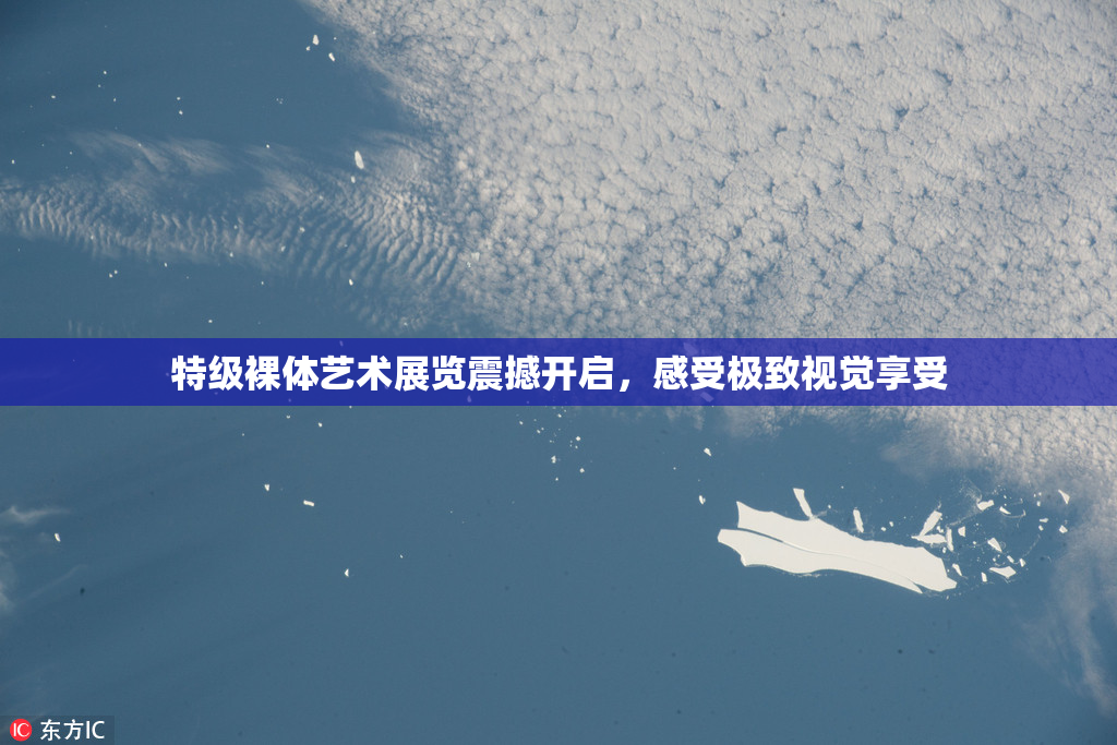 特级裸体艺术展览震撼开启，感受极致视觉享受