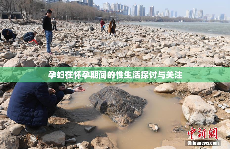 孕妇在怀孕期间的性生活探讨与关注