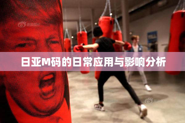 日亚M码的日常应用与影响分析