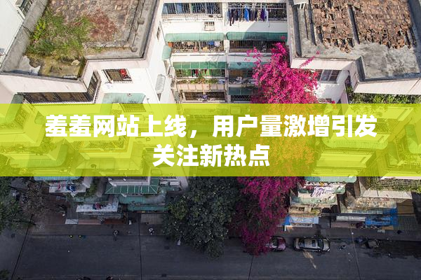 羞羞网站上线，用户量激增引发关注新热点