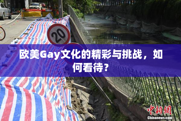 欧美Gay文化的精彩与挑战，如何看待？