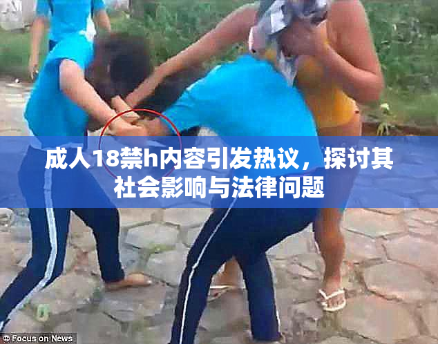 成人18禁h内容引发热议，探讨其社会影响与法律问题