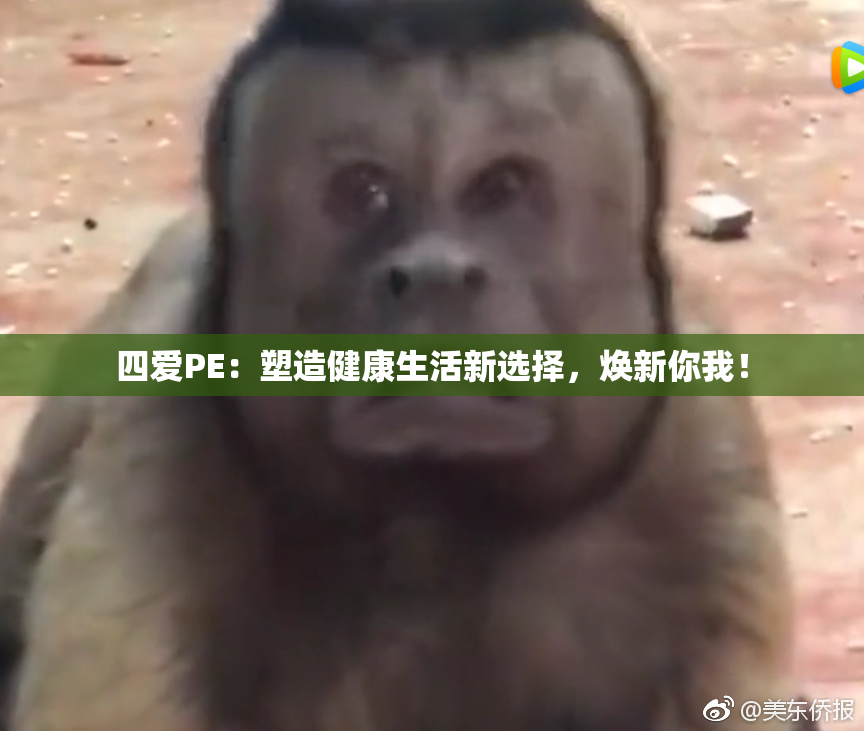 四爱PE：塑造健康生活新选择，焕新你我！