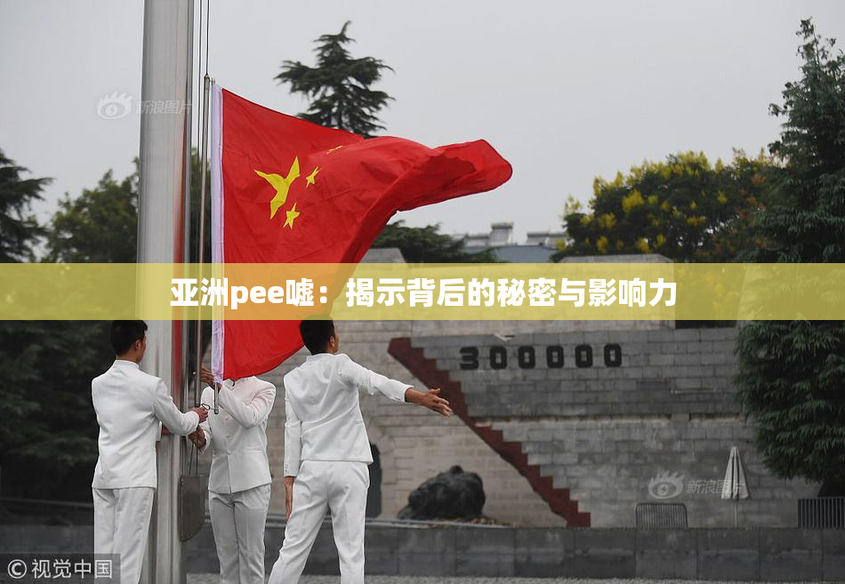 亚洲pee嘘：揭示背后的秘密与影响力