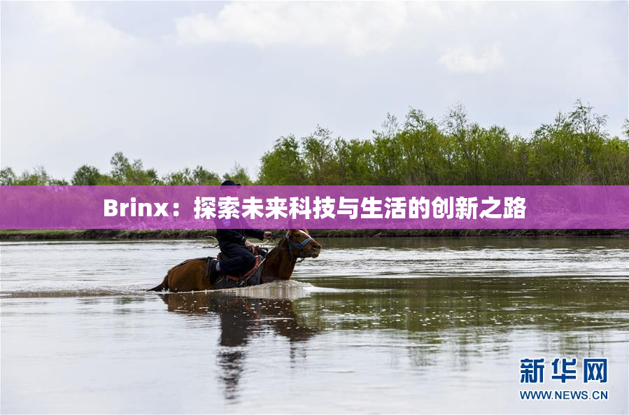 Brinx：探索未来科技与生活的创新之路