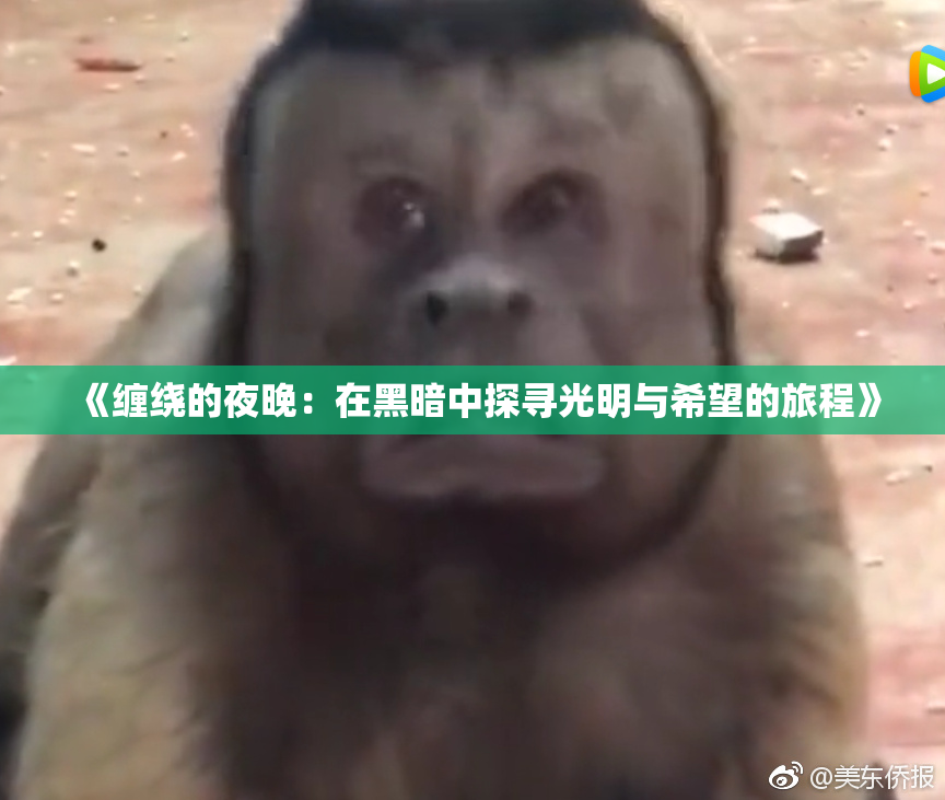 《缠绕的夜晚：在黑暗中探寻光明与希望的旅程》