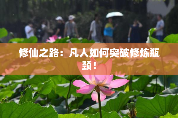 修仙之路：凡人如何突破修炼瓶颈！