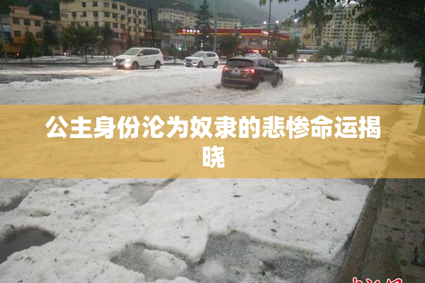 公主身份沦为奴隶的悲惨命运揭晓