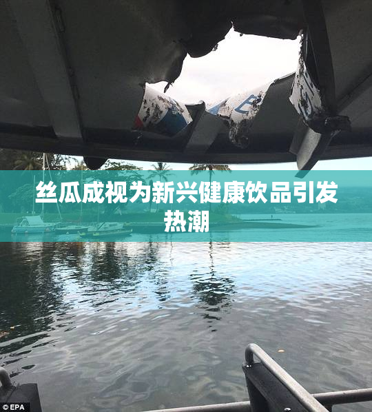 丝瓜成视为新兴健康饮品引发热潮