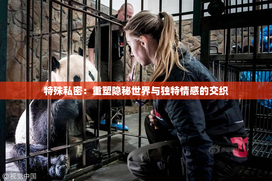特殊私密：重塑隐秘世界与独特情感的交织