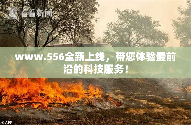 www.556全新上线，带您体验最前沿的科技服务！