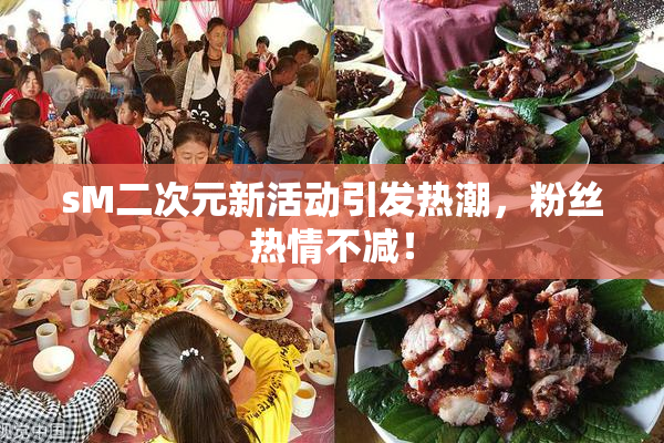 sM二次元新活动引发热潮，粉丝热情不减！