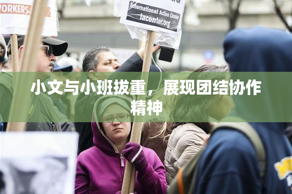 小文与小班拔重，展现团结协作精神