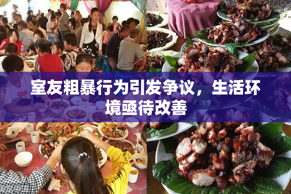 室友粗暴行为引发争议，生活环境亟待改善