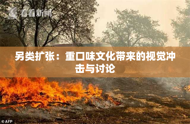 另类扩张：重口味文化带来的视觉冲击与讨论