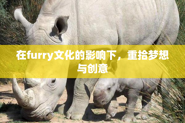 在furry文化的影响下，重拾梦想与创意