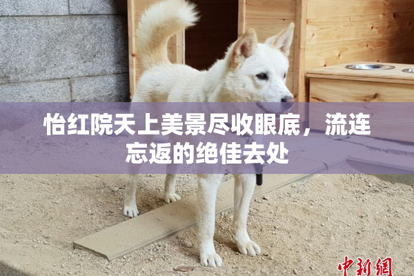 怡红院天上美景尽收眼底，流连忘返的绝佳去处