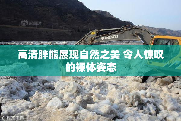 高清胖熊展现自然之美 令人惊叹的裸体姿态