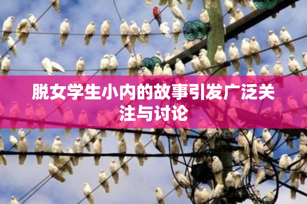 脱女学生小内的故事引发广泛关注与讨论