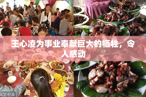 王心凌为事业奉献巨大的牺牲，令人感动