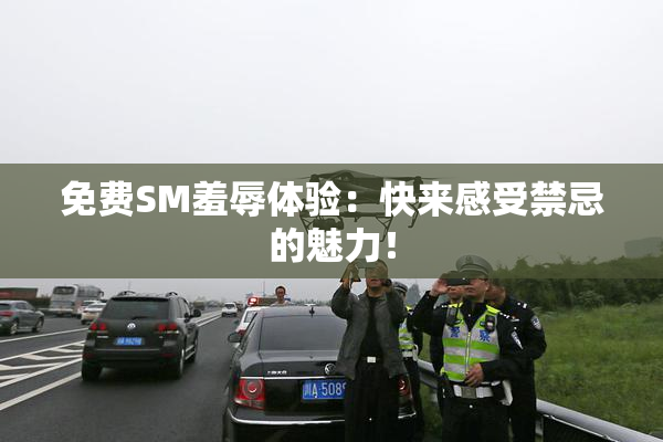 免费SM羞辱体验：快来感受禁忌的魅力！